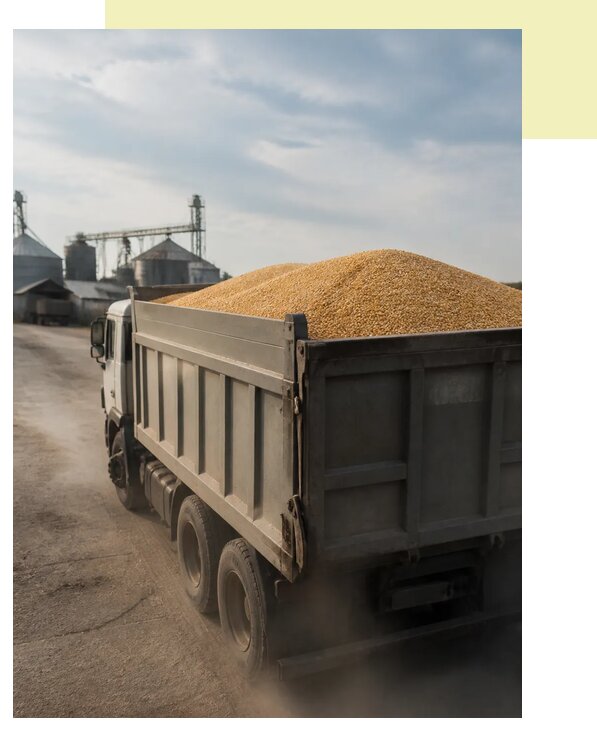 Перевозка сельхозпродукции навалом в Кыштым по цене от 3116 р. | Агросервис-Кшт